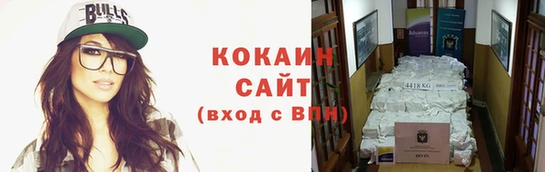 гашик Белокуриха
