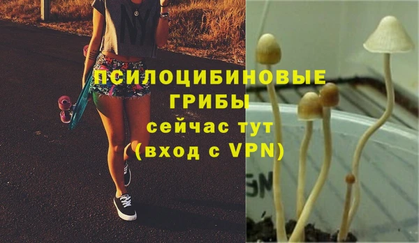гашиш Беломорск
