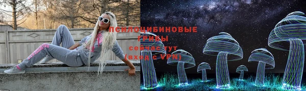 гашик Белокуриха