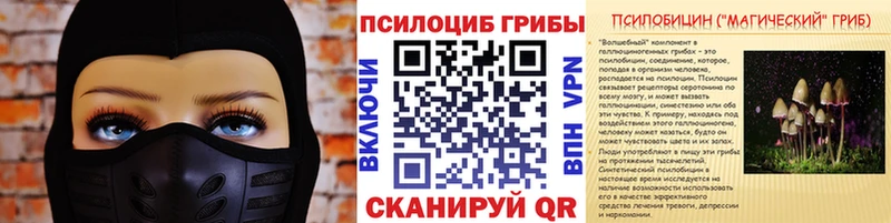 Галлюциногенные грибы Psilocybine cubensis  Кимовск 